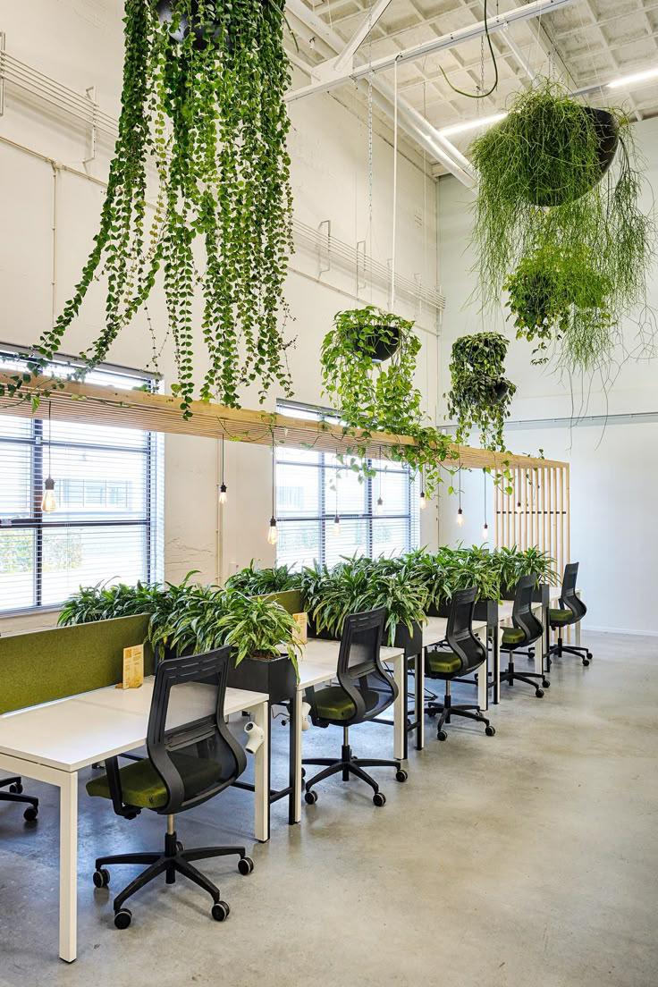 Long shared bench with planter dividers and overhead trailing vines